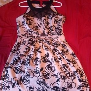 Pink with black roses sheer neckline dress